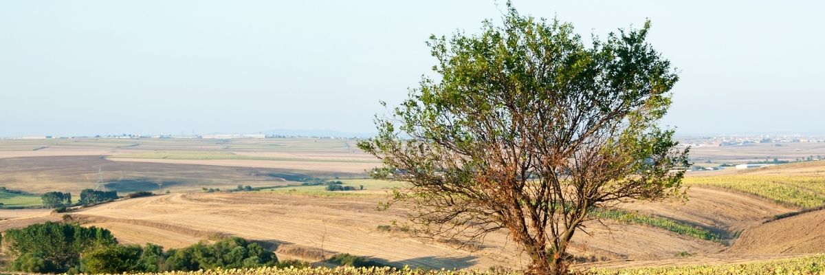 Balkanlardan Trakya’ya Göç Etmiş Ailelerin Hikayeleri