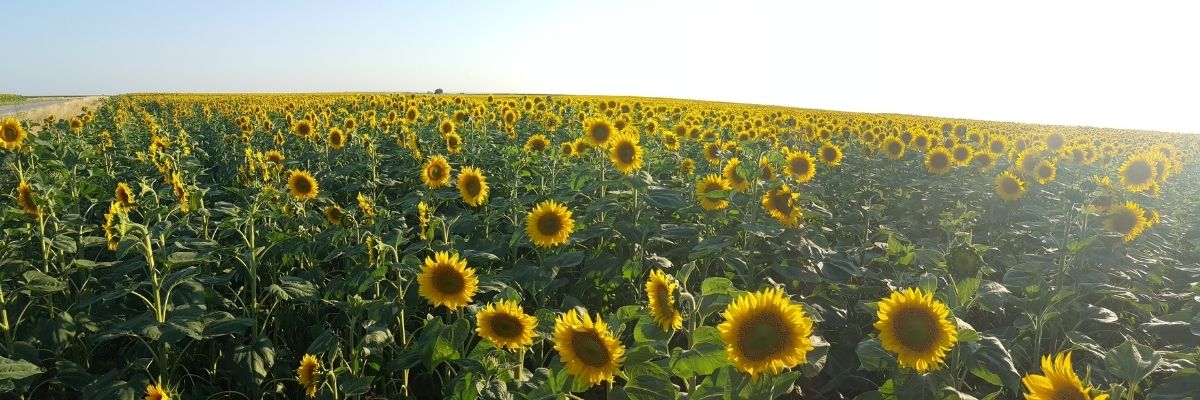 Trakya’da Görülmesi Gereken 10 Doğal Güzellik